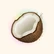 Coconote 2.15 Pro Moe