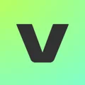 VEED Captions